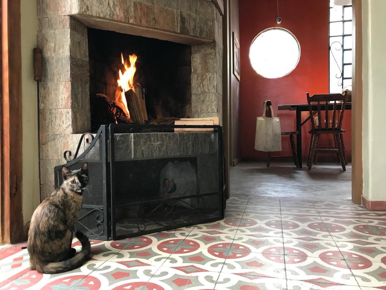 Frida Casa Hostel Pelotas Eksteriør bilde