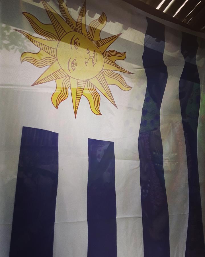 Frida Casa Hostel Pelotas Eksteriør bilde
